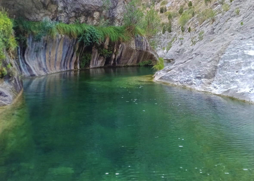 Espadilla