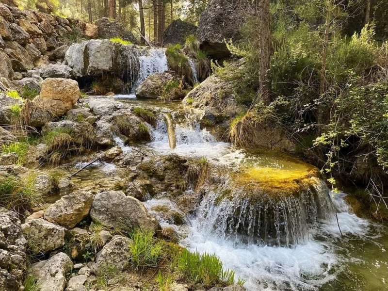 portada cazorla