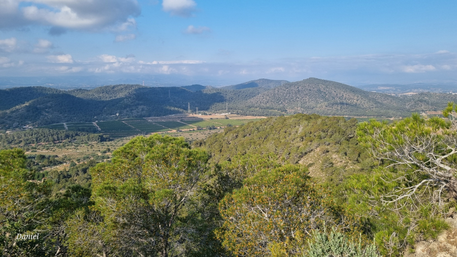 Portada Rbarroja